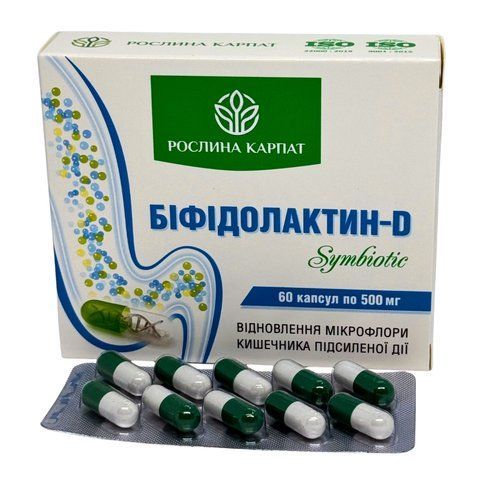 Бифидолактин D SYMBIOTIC &ndash; баланс микрофлоры и здоровье кишечника рослина Карпат 484731 фото - купить в Livesta (Ливеста)
