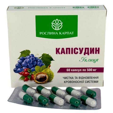 Каписудин Рослина Карпат &ndash; для очищения сосудов и улучшения кровообращения 484791 фото - купить в Livesta (Ливеста)