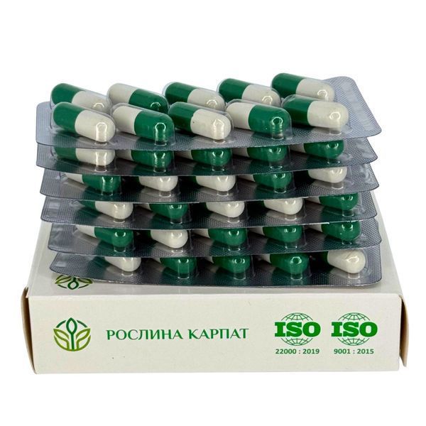Фунгицин 60 кап. Рослина Карпат &ndash; эффективный природный антимикотик. 484725 фото - купить в Livesta (Ливеста)