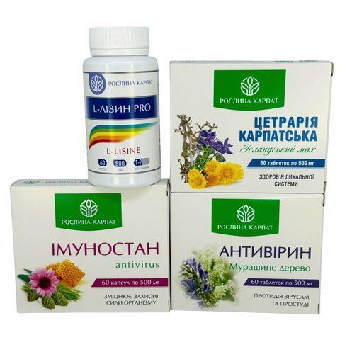 Комплексная программа при простуде, ОРЗ, ОРВИ - Антивирин, Иммуностан, Цетрария Карпатская, Аминокислота L-Лизин Pro Рослина Карпат 485494 фото - купить в Livesta (Ливеста)